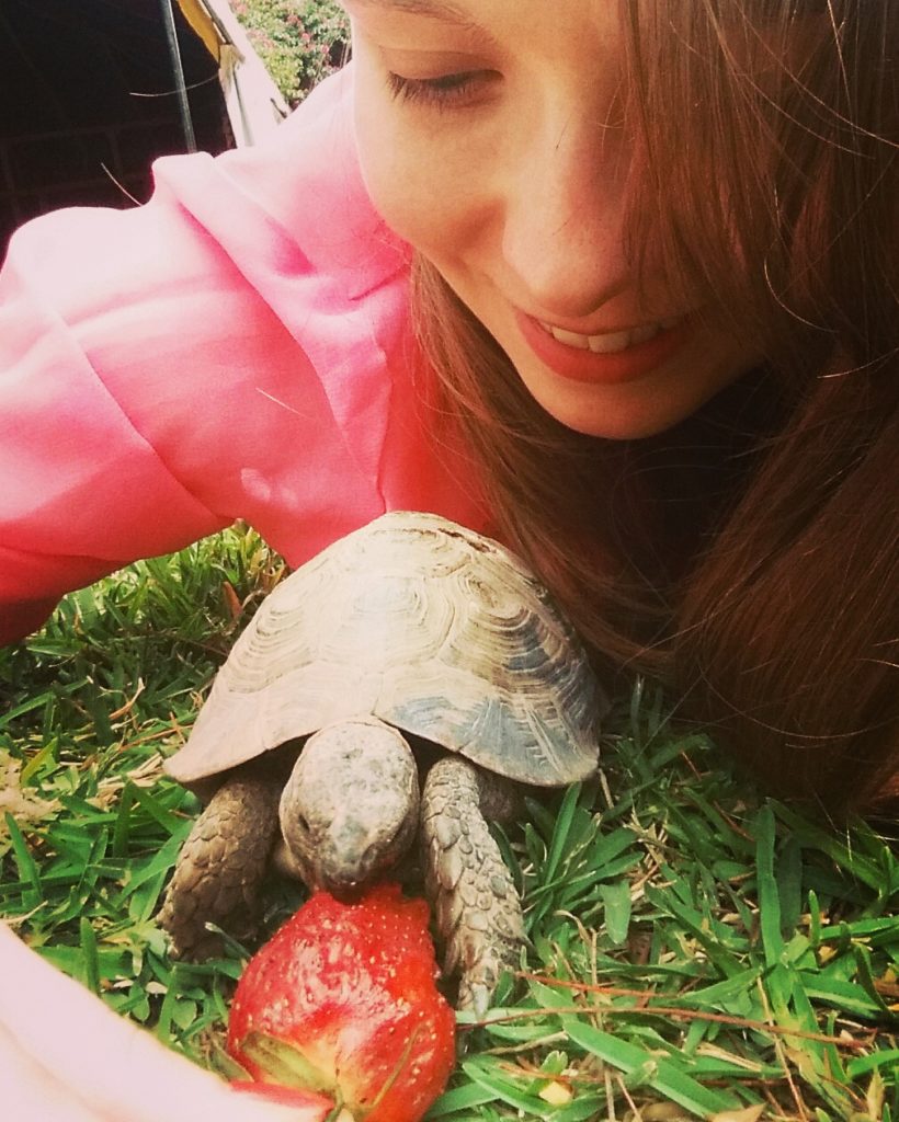 Emily from Vibe with a Tortoise
